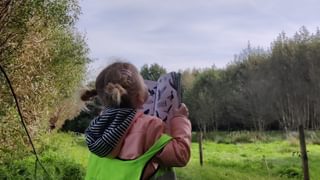 Vogels spotten wolken
