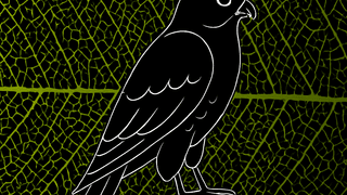 Torenvalk