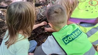 Insecten zoeken