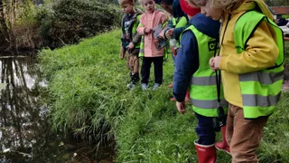 Paddenoverzet