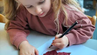 Vrije Tekst K2
