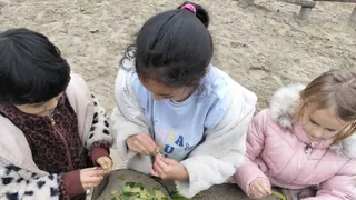 Onderzoekend leren - speelplaats