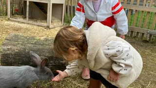Dierenteam PK1