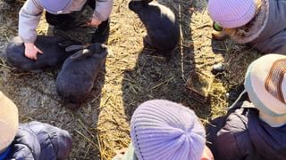 Dierenteam PK1