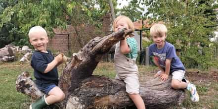 Afbeelding van Whats App op 2025 09 08 om 12 46 29 5b72d4b6