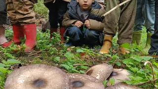 IMG20251021111156 1